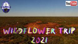 Wildflower trip 2021 - Part 1